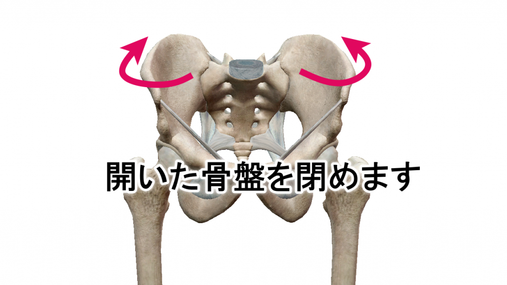 骨盤矯正　金の指銀の指