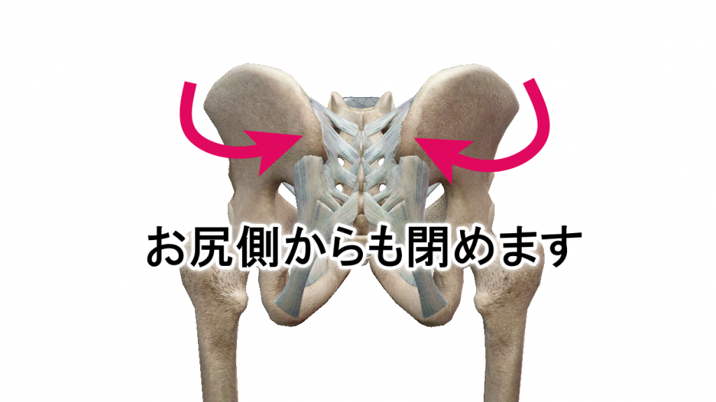 骨盤矯正　金の指銀の指