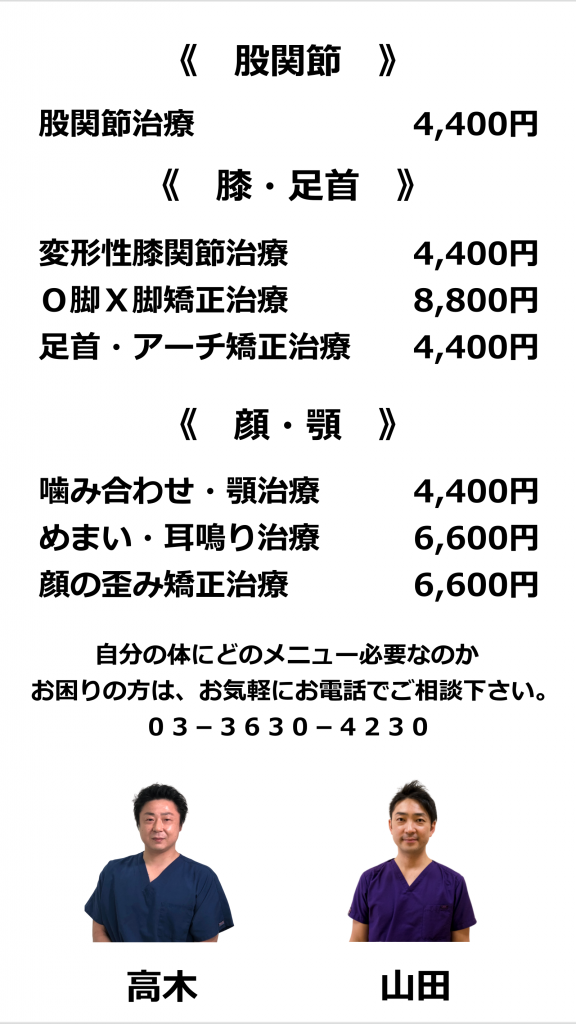 金の指銀の指整骨院　症状・病名別治療メニュー