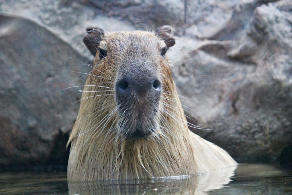 乾燥肌の入浴の仕方